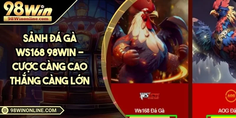 Sảnh đá gà WS168 tại 98WIN